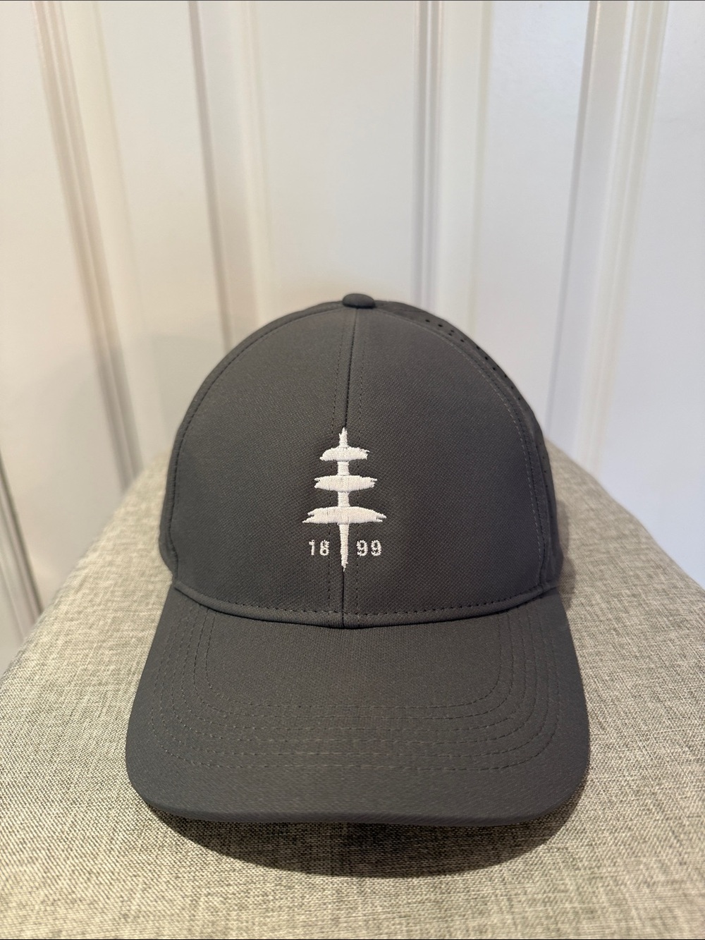 Nike Men's Dark Gray Cap with White Embroidered Tree and 1899 Detail